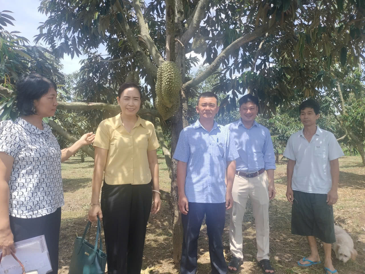 3.290 hộ nông dân đạt danh hiệu sản xuất kinh doanh giỏi năm 2024